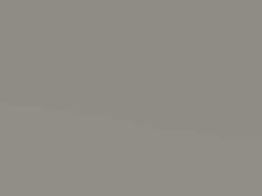 Rembrantsilver Metallic touch-up paint for Vauxhall Omega, code 137, 2000