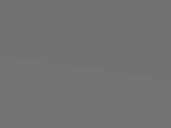 Smoke Grey Metallic touch-up paint for Vauxhall Frontera, code 140, 1995