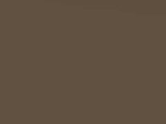 Noblesse Beige Metallic touch-up paint for Vauxhall Astra, code 162V, 2014