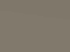 Pannacotta/Beige Metallic touch-up paint for Vauxhall Astra, code 167, 2010