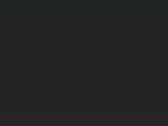 Schwarz Metallic touch-up paint for Vauxhall Omega, code 256, 1992