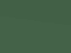 Leaf Green Mica touch-up paint for Vauxhall Astra, code 372, 2002