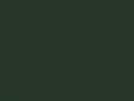 Cypress Green Metallic touch-up paint for Vauxhall Agila, code 377, 2002
