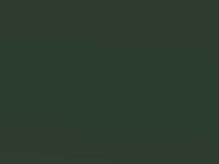 Jade Green Metallic touch-up paint for Vauxhall Astra, code 387, 2004