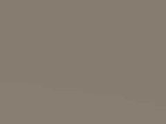 Champagne Metallic touch-up paint for Vauxhall Vectra, code 489, 1998