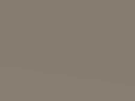 Champagne Metallic touch-up paint for Vauxhall Vectra, code 489, 1998