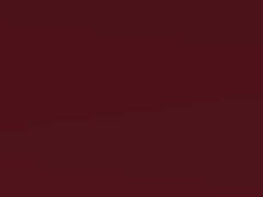 Rabiata Red Pearl touch-up paint for Vauxhall Speedster, code 595, 2003