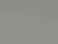 Alabaster Silver Metallic touch-up paint for Vauxhall Movano, code B64, 2009
