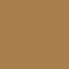 Chamois touch-up paint for Citroen, code 579/AC579, 1981
