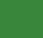 Vert Ville De Paris touch-up paint for Renault Kangoo, code A95, 1991–2015