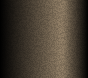 Fiesta Black Gold-Met. touch-up paint for Ford, code EUROPE, 2010