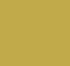 Primer Beige Agricultural Machinery Paint product image