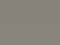 Chill Beige touch-up paint for Ford Kuga, code 8MJE, 2016