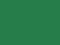 Electric Green touch-up paint for Ford Ka, code K9, 2001