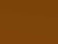 Electric Orange touch-up paint for Ford Focus St, code 6FSE, 2010