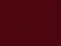 Fantastic Red touch-up paint for Ford Focus St, code LTSEWTA, 2021