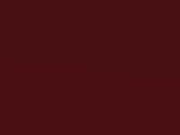 Infra Red touch-up paint for Ford Mondeo, code R, 2002