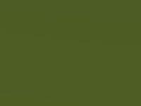 Mean Green touch-up paint for Ford Puma St, code 1GC, 2022