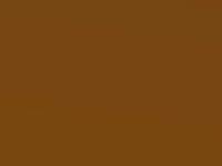 Orange Fury touch-up paint for Ford Focus St, code NL, 2020