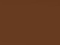 Orange Glow touch-up paint for Ford Focus St, code JE, 2019