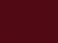 Ruby Red Met touch-up paint for Ford Fiesta St, code DSTEWTA, 2019