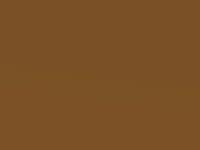 Saber touch-up paint for Ford Ranger Raptor, code JE5E, 2021