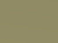 Sublime Green touch-up paint for Ford Ka, code X, 2005