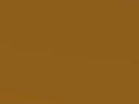 Tangerine Scream touch-up paint for Ford Focus St, code CERE, 2015