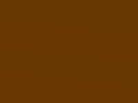 Tiger Eye touch-up paint for Ford Kuga, code FJ5C, 2017