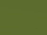 Ultimate Green touch-up paint for Ford Focus Rs, code 9GFE, 2010