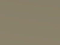 White Grape Beige touch-up paint for Ford Mondeo, code 6EQCWWA, 2007