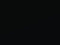Crystal Black Metallic touch-up paint for Honda City, code NH731P, 2013
