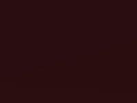 Carnelian Red II Metallic touch-up paint for Honda City, code R547P, 2013