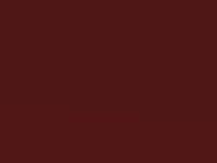 Habanero Red Metallic touch-up paint for Honda City, code YR557P, 2009