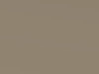 Gold Beige Metallic touch-up paint for Kia Carens, code 7Y, 2003