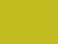 Lime touch-up paint for Kia Picanto, code ALM, 2009