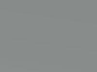 Diamond Silver Metallic touch-up paint for Kia Carens, code C5, 2005