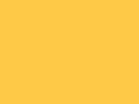 Fresh Yellow touch-up paint for Kia Picanto, code II, 2007