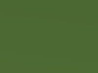 Samba Green Metallic touch-up paint for Kia Picanto, code M5, 2007