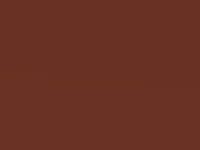 Salmon Orange Metallic touch-up paint for Nissan Micra, code A11, 2003
