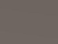 Cafe Latte/Beige Metallic touch-up paint for Nissan Note, code C30, 2011