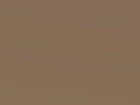 Reddish Beige Metallic touch-up paint for Nissan Micra, code CAA, 2012