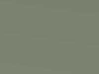 Herb Green Metallic touch-up paint for Nissan Micra, code DN3, 1998