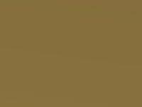 Vivid Yellow Metallic touch-up paint for Nissan Note, code E42, 2011