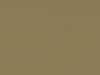 Gold Met touch-up paint for Nissan Pulsar, code EAH, 2014