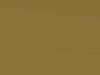 Yellow Olive Metallic touch-up paint for Nissan Micra, code ER4, 1996