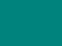 Blueish Green touch-up paint for Nissan Micra, code FH1, 1995