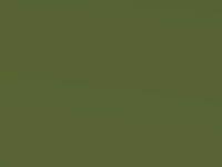 Green Metallic touch-up paint for Nissan Micra, code J31, 2004