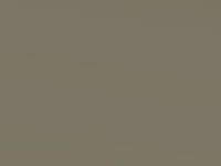 Beige Metallic touch-up paint for Nissan Note, code JAB, 2011