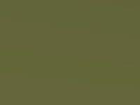 Yellow Green Metallic touch-up paint for Nissan Micra, code JAD, 2012
